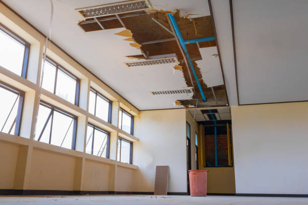Best Water damage restoration mold remediation  in Orem, UT
