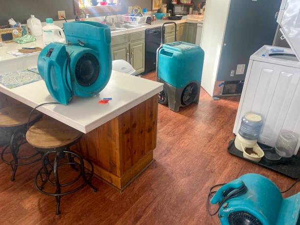 Best Sewage cleanup and water damage restoration  in Orem, UT