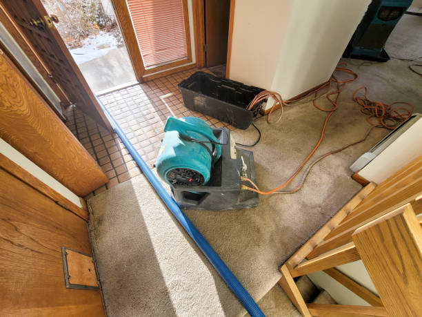 Best Fire Damage Restoration  in Orem, UT