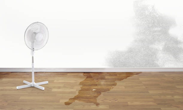 Best Ceiling water damage repair  in Orem, UT