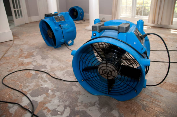 Best Water damage restoration company  in Orem, UT
