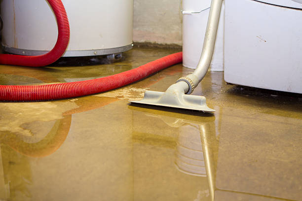 Best Water damage restoration near me  in Orem, UT