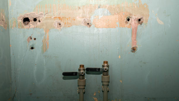 Best Water damage restoration near me  in Orem, UT