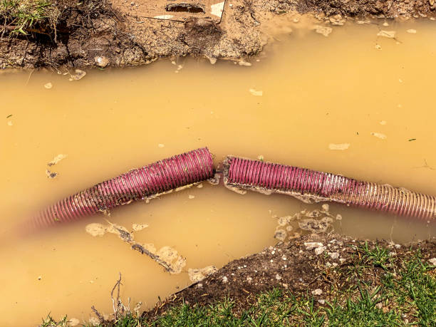 Best Residential water damage restoration  in Orem, UT