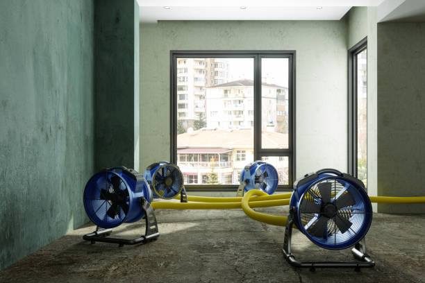 Best Flood restoration services  in Orem, UT
