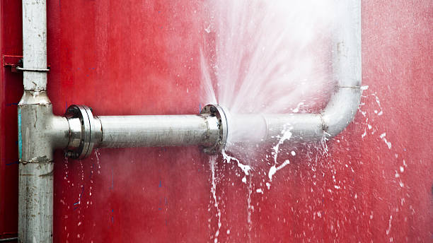 Best Water damage contractors near me  in Orem, UT